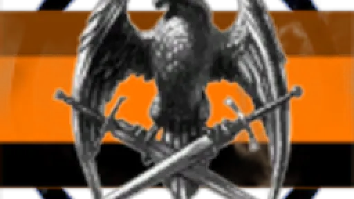 Rayged Inc