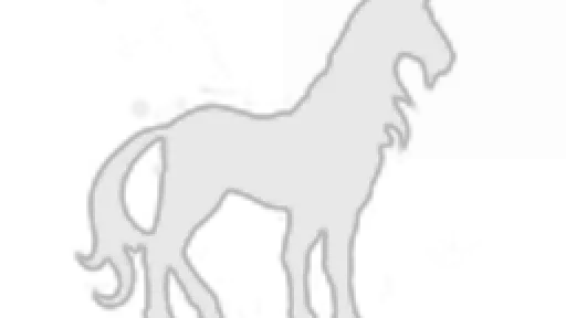 www.caldariprimeponyclub.com