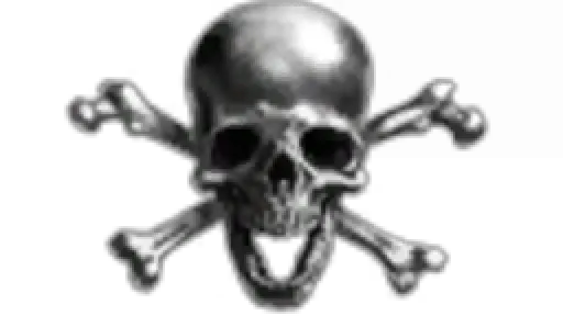 Pirate Nation Holdings