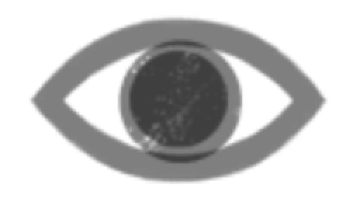 Virisi