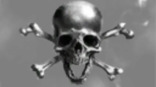 The Jolly Roger.