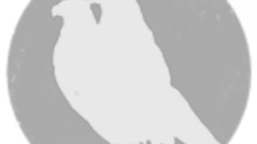 Aquila Holding