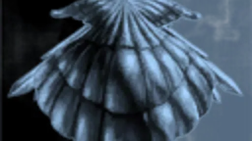 DRN Defense Force