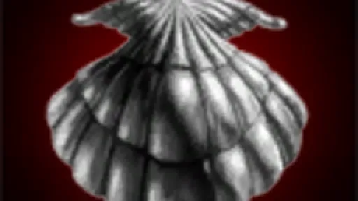 Squid Holding