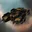 Procurer