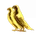 TEST-01
