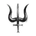 Celestial Chromosome Consortium