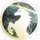 STARCHASER Alliance