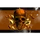 Sovereigns of Destiny