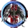 Order of Celestial Paladins