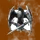 Citizen's of Zion