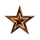 Binary Star Navy