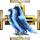 Macrosoft