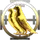 EveCorporation 452945