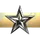 Caldari Divisions