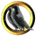 Black Sparrow Mining Corp.