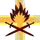 FI-FOE