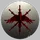 Serene Storm Society