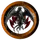 The Fire of the Phoenix