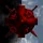 Revelations Inc.