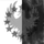 Order of Paradox