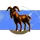 Moo Cows