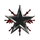 Black-Star Logistics