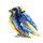 Terra Hawks