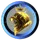 9th army CMC