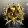 Allied Combat Team