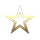 Forbidden Star Inc.