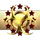 The None Aligned
