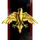 Dark Matter Academy