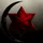 Star Systems Inc