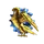 Drake Research