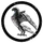 the krynn
