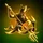 Neptunis Enr.