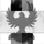 Flying Ariers