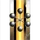 Dexa Solutions