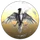 AOD Holding