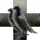 0riginated Sons