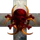 Destructive Forcres