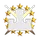 G-Force 47