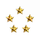 Evano Corp