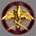 Gold Wing Squadron