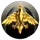 Ambitious Noobs Incorporated