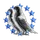 35 Step Core
