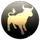 Deep Space Exploration Corp