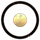 Citadel Alpha