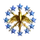 Starry Sky Fleet